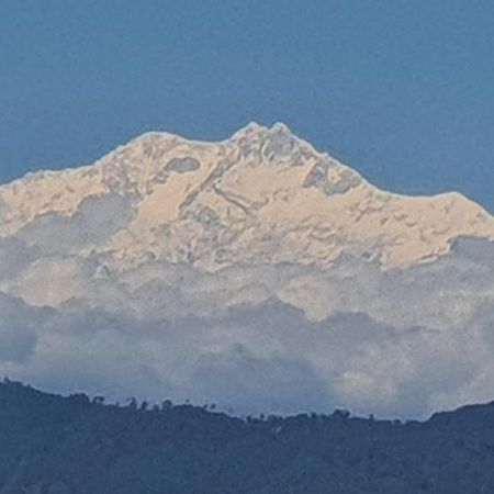 New Bloom Homestay Kurseong Dış mekan fotoğraf
