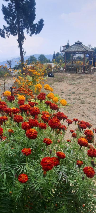 New Bloom Homestay Kurseong Dış mekan fotoğraf