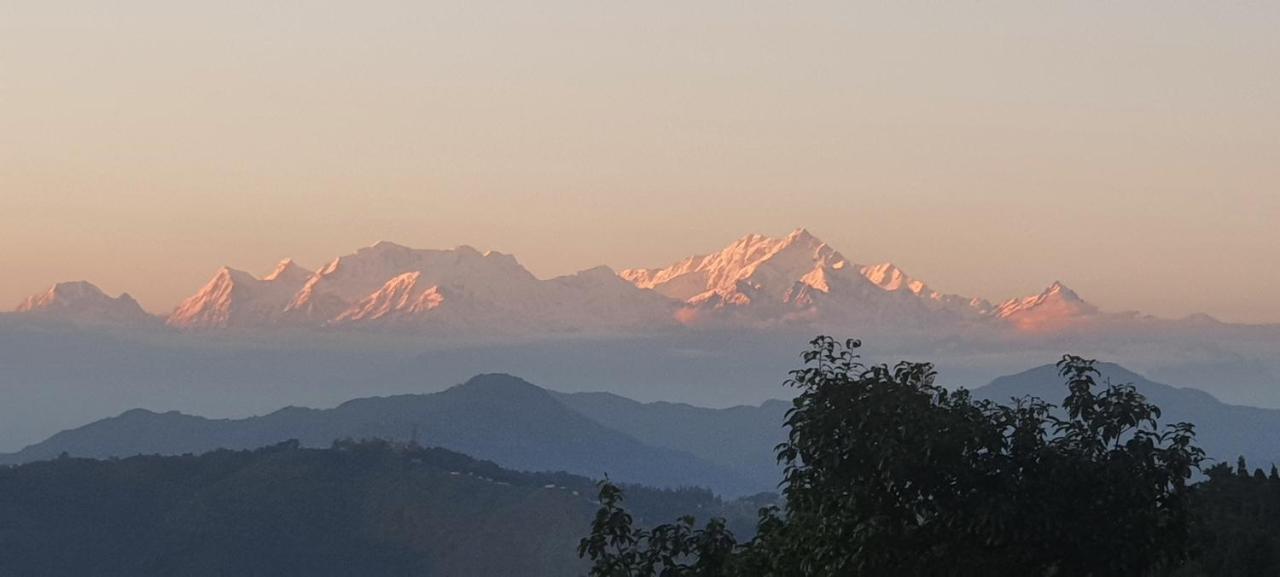New Bloom Homestay Kurseong Dış mekan fotoğraf